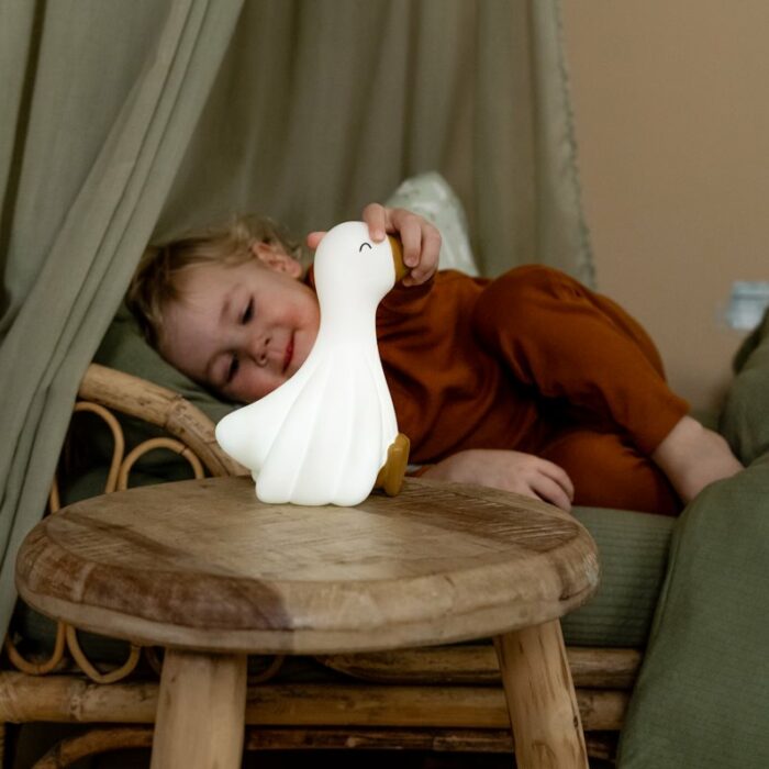 Veilleuse Petite Oie (Little Dutch)