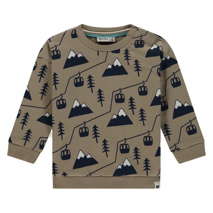 Sweatshirt Bébé Garçon Desert (Babyface AW25)