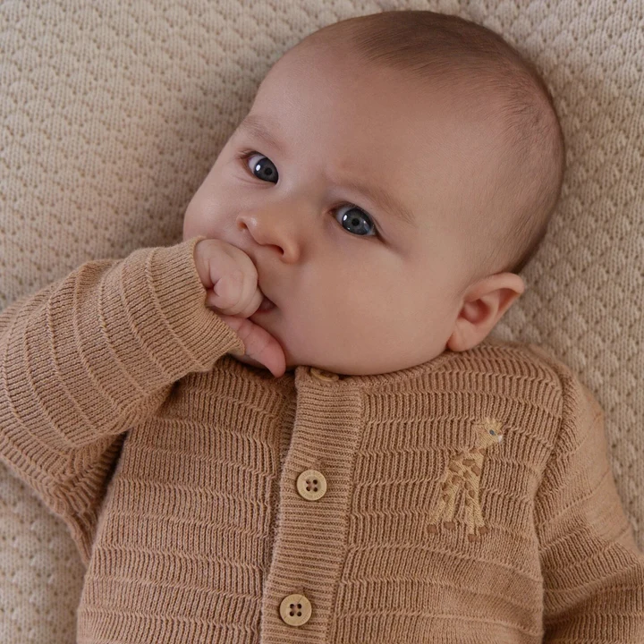 Tricoté Gilet Marron 56 (Little Dutch) – Image 2